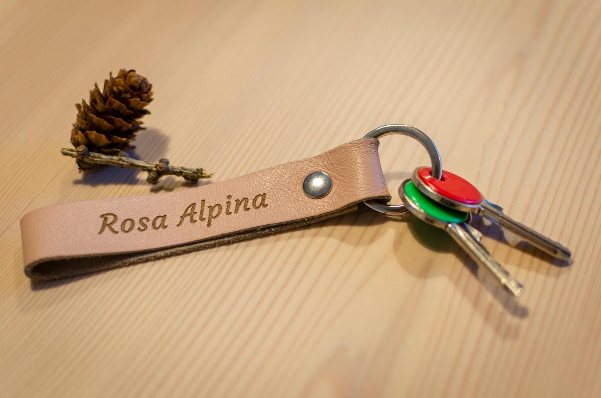 Rosa Alpina - Appartamento Nelle Dolomiti Доббиако Экстерьер фото